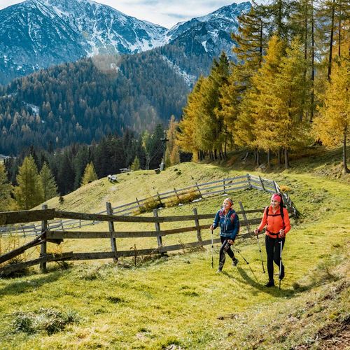 Frauen beim Wandern mit Wanderstöcken im Waldrast Natur Resort im Herbst